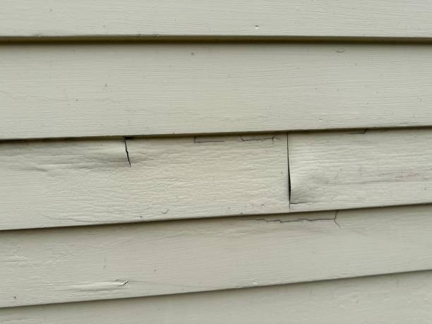 Best Custom Trim and Detailing for Siding  in Chillum, MD